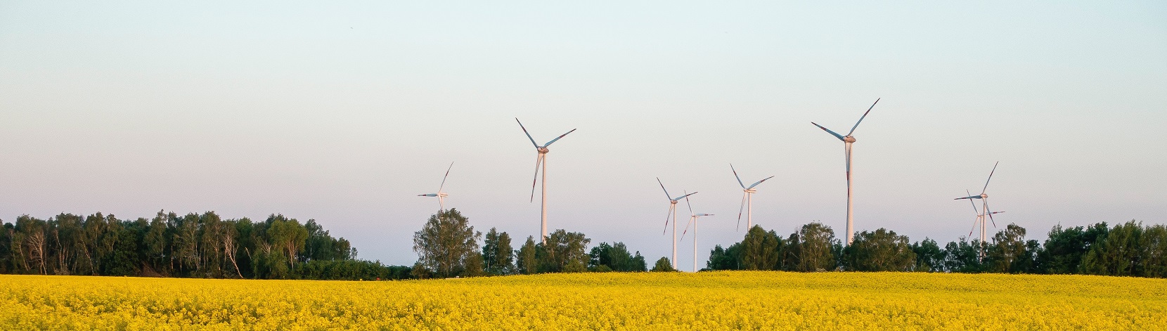 Con il vento e il sole contro l’elettricità importata associata ad elevate emissioni di CO2 – Electrosuisse