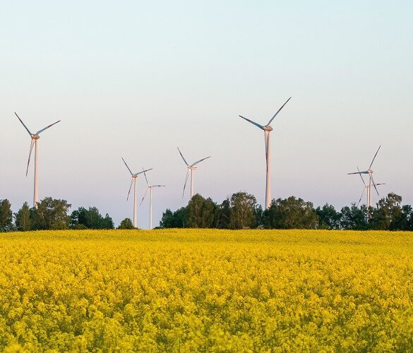 Le vent et le soleil contre l’électricité importée riche en émissions