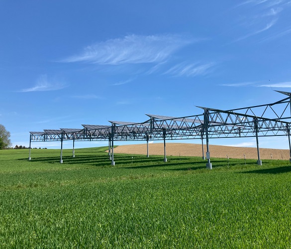 Les installations agrivoltaïques protègent les cultures de la sécheresse