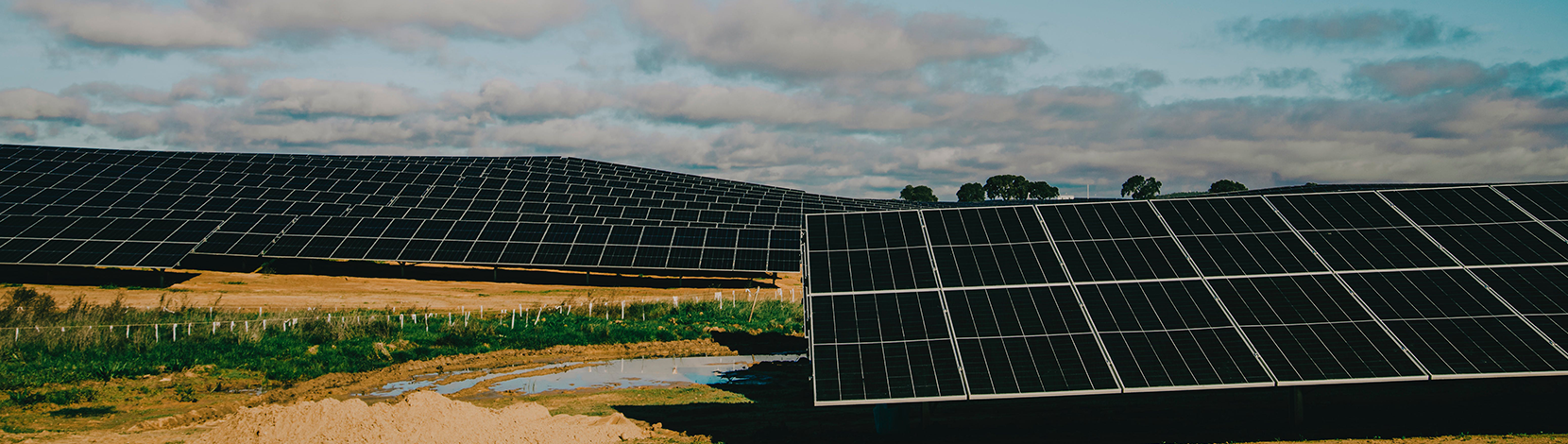 Essor de l’électricité verte en Afrique : une opportunité pour les énergies renouvelables – Electrosuisse